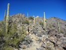 photo thumbnail #6