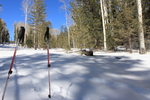 photo thumbnail #1