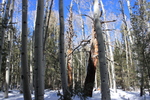 photo thumbnail #9