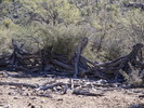 photo thumbnail #3