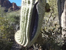 photo thumbnail #8
