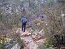 photo thumbnail #4