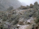 photo thumbnail #10