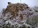 photo thumbnail #12