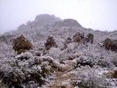 photo thumbnail #13