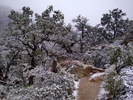 photo thumbnail #14