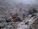 photo thumbnail #15