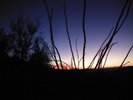 photo thumbnail #1