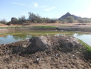 photo thumbnail #3
