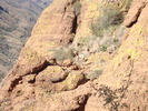 photo thumbnail #13
