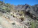 photo thumbnail #2