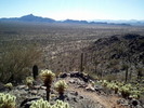 photo thumbnail #3