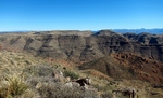 photo thumbnail #6
