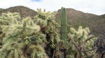 photo thumbnail #1