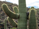 photo thumbnail #3