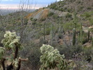 photo thumbnail #7