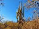 photo thumbnail #12