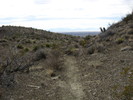 photo thumbnail #4