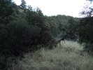 photo thumbnail #12