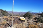 photo thumbnail #11