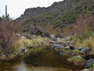 photo thumbnail #2