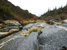 photo thumbnail #3