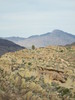 photo thumbnail #15