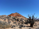 photo thumbnail #15