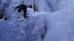 photo thumbnail #10