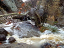 photo thumbnail #12