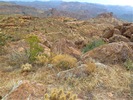 photo thumbnail #6