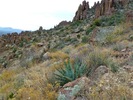 photo thumbnail #8
