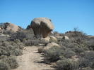 photo thumbnail #2