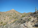 photo thumbnail #3