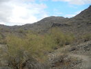 photo thumbnail #5
