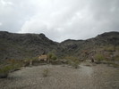 photo thumbnail #6