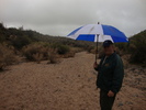 photo thumbnail #3