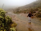 photo thumbnail #14