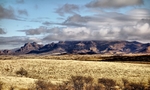 photo thumbnail #2
