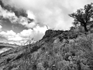 photo thumbnail #11