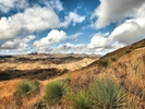 photo thumbnail #12