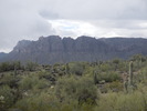photo thumbnail #8