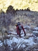 photo thumbnail #11