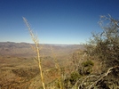 photo thumbnail #15
