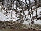 photo thumbnail #11