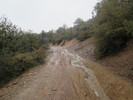 photo thumbnail #13