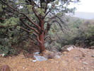 photo thumbnail #15