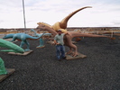 photo thumbnail #8