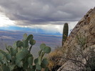 photo thumbnail #12