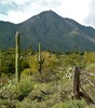 photo thumbnail #11